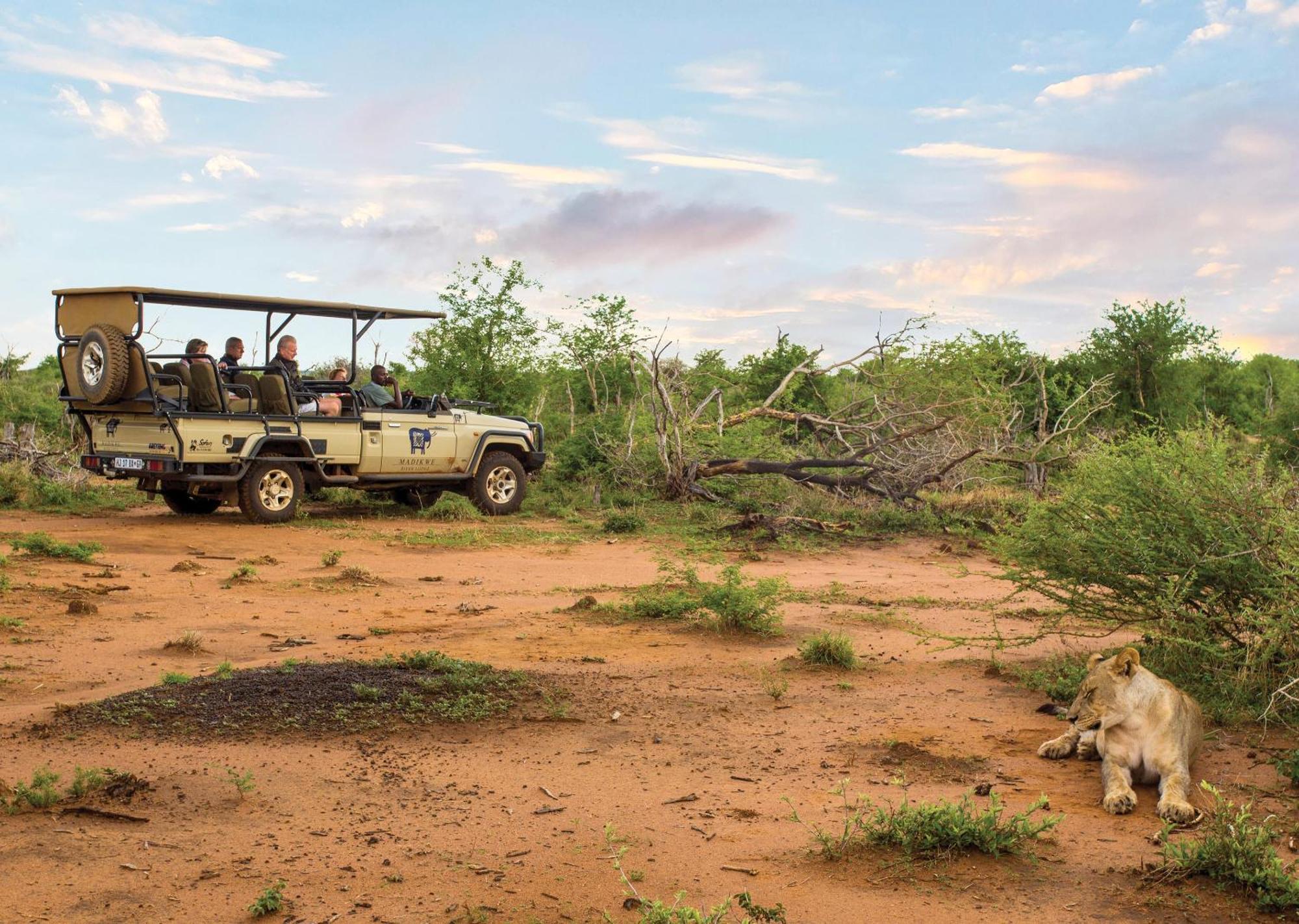 Madikwe River Lodge By Dream Resorts Madikwe Game Reserve Exterior photo