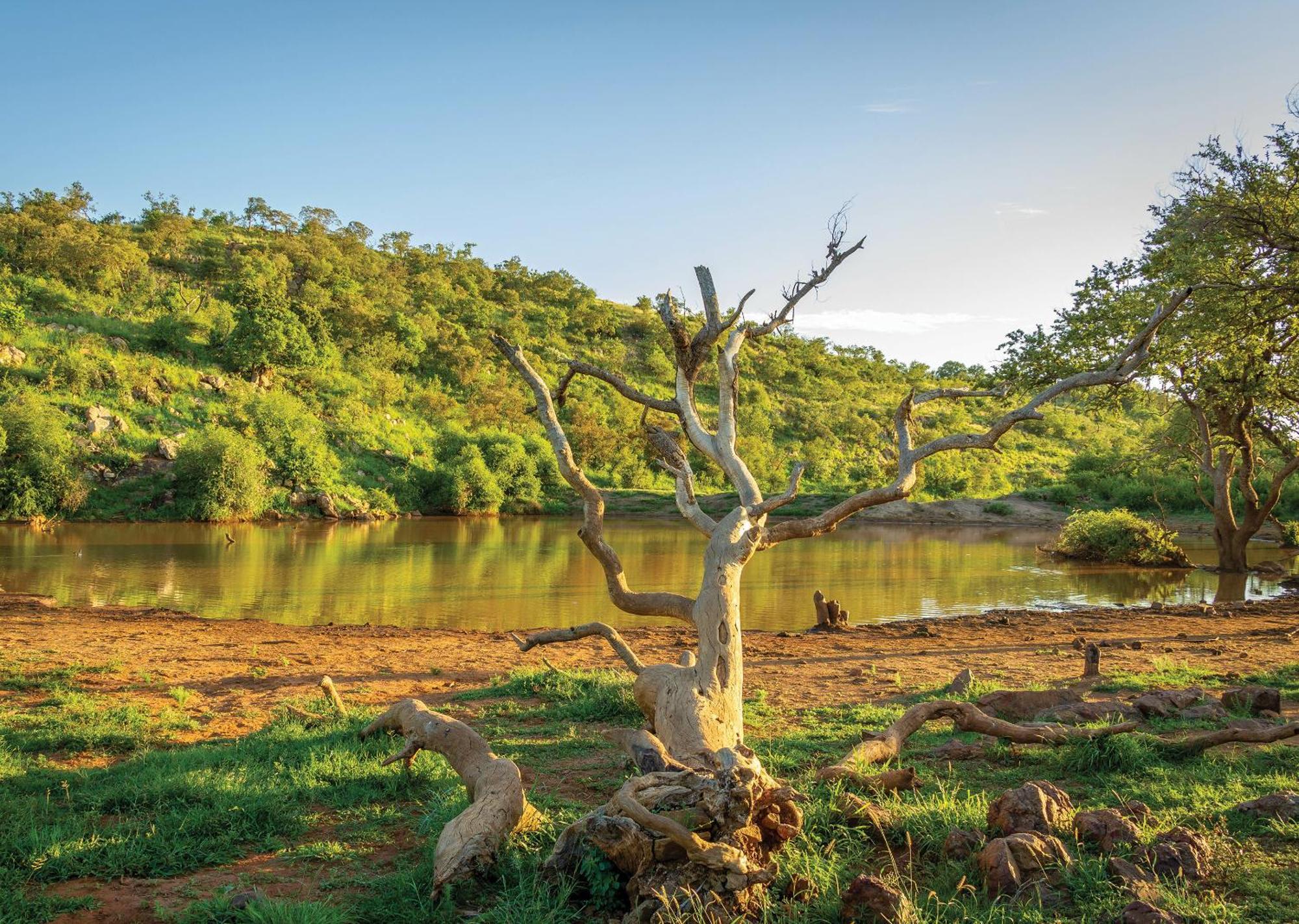 Madikwe River Lodge By Dream Resorts Madikwe Game Reserve Exterior photo