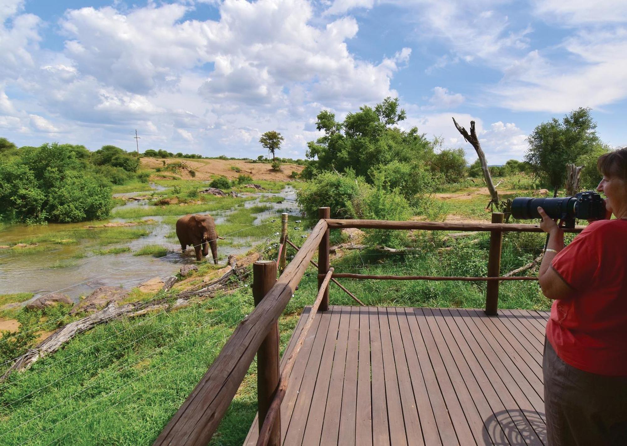 Madikwe River Lodge By Dream Resorts Madikwe Game Reserve Room photo