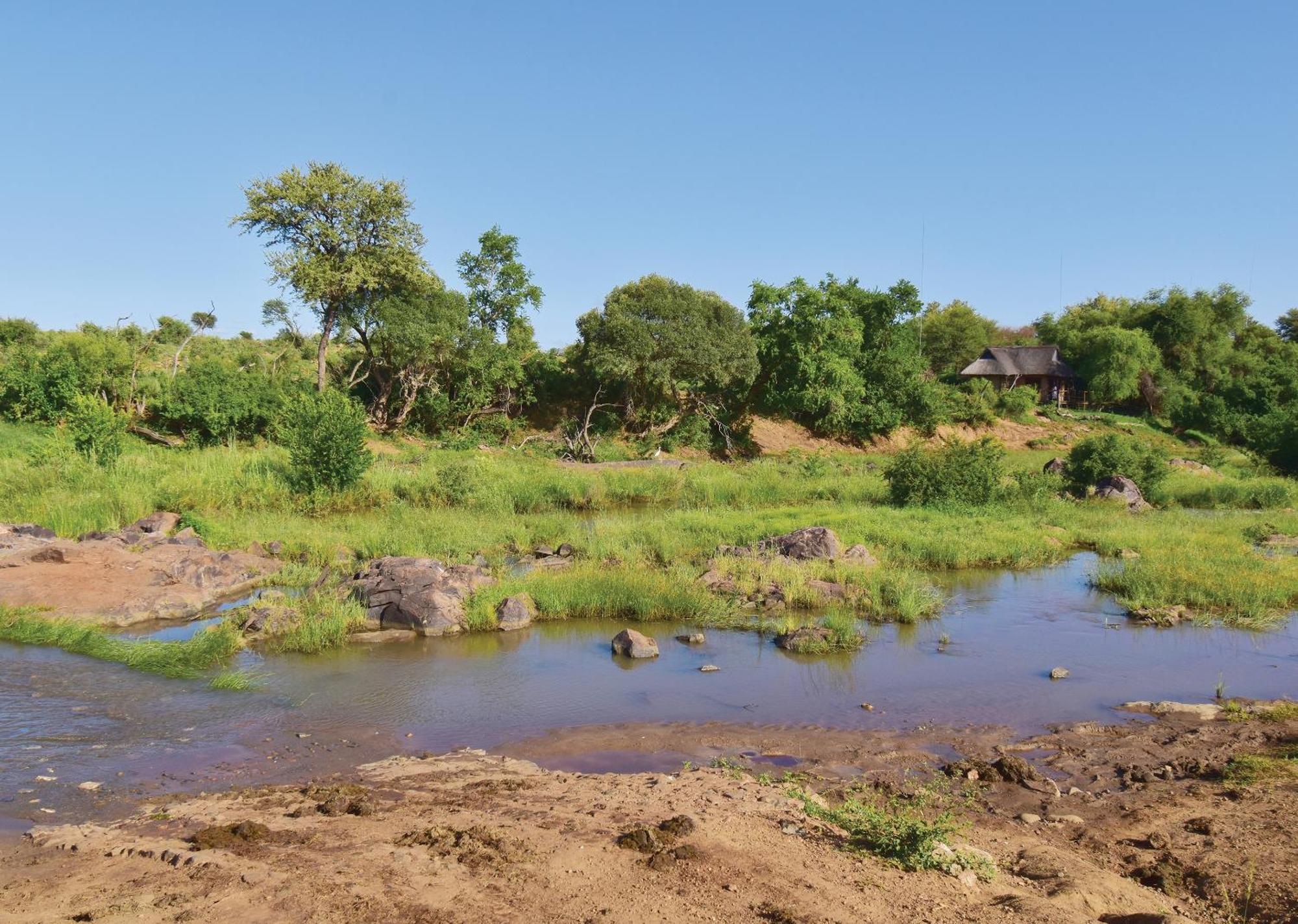 Madikwe River Lodge By Dream Resorts Madikwe Game Reserve Room photo